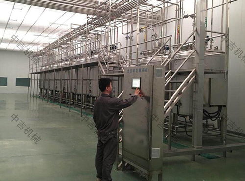 菠萝饮料生产线运作与工艺实例分析