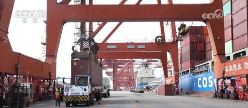 一念永恒漫画免费观看与矿山建筑设备仓储概览